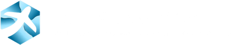 EZY Services Customized Logistics Solutions